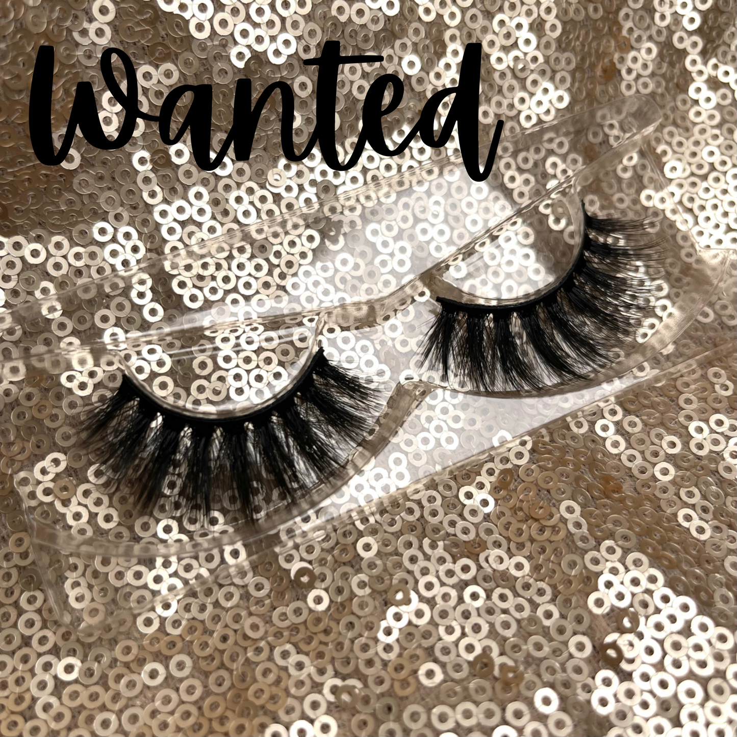 You Are “Wanted” Lashes